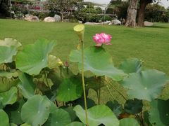 -南通洲际绿博园