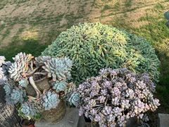 -沂蒙云瀑洞天景区