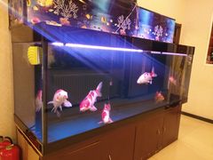 -肥肥小厨(咸阳路店)