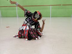 -舞蕾舞蹈(特长生校区)