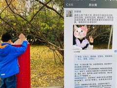 -红楼梦邮局