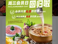 -洪氏嗨捞·猪肚鸡火锅(阳光天地店)