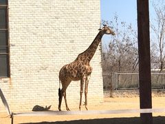 -石家庄市动物园