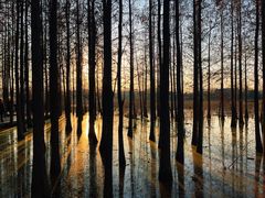 -云龙湖旅游景区