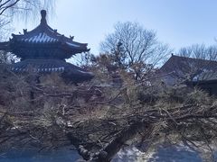 -纯阳宫(大同古城)