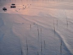 -北岐滩涂