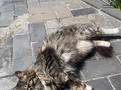 -巴倒烫陆派火锅山庄(南山总店)