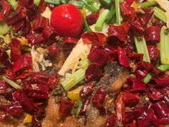 -老板恋上鱼(恒隆广场店)