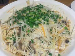 -三猫黑鱼花(南大店)
