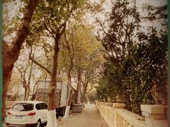 -八大关景区