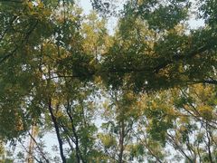 -森林公园(尖草坪区)