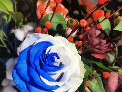 -Osteria Garden 生蚝花园餐厅(原进贤路店)