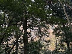 -灵隐飞来峰景区