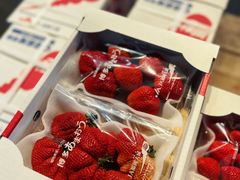 -油麻地果栏