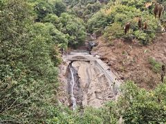 -广州白江湖森林公园