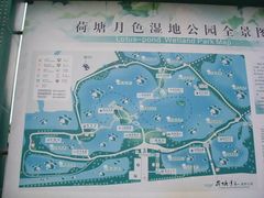 -荷塘月色湿地公园·向阳花洲
