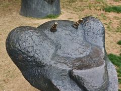 -七桥瓮公园