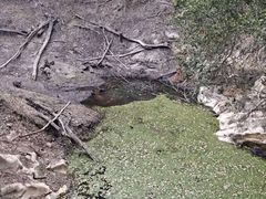 -昆明青龙峡风景区