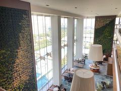-深圳湾木棉花酒店