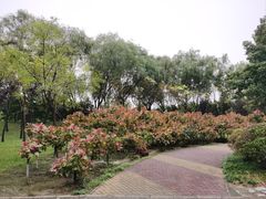 -北坞公园