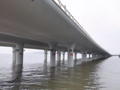-演武大桥观景平台