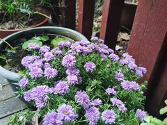 -龙源茶坊(白银路店)