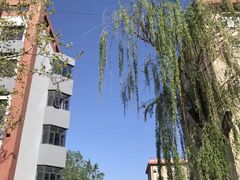 -中国政法大学(昌平校区)