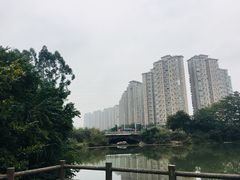 -金山公园