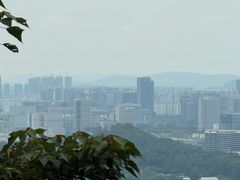 -黄埔油麻山森林公园