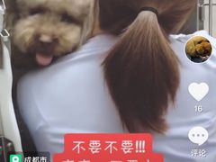 -瑞派宠物医院(锦江店)