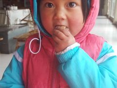 -蘑统田下·野生菌火锅