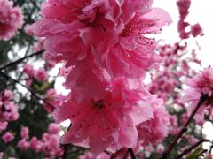 -新隆嘉供销超市(青岛瑞昌路店)