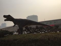 -陕西自然博物馆