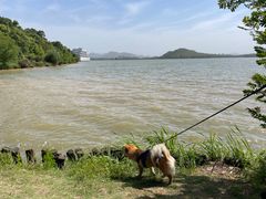 -池州市平天湖风景区