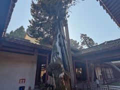 -太平天国侍王府