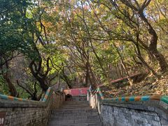 -妙峰山风景名胜区