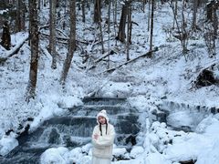 -峡谷浮石林景区