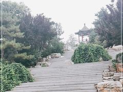 -大兴滨河森林公园