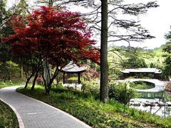 -溪口-滕头旅游景区