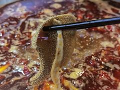 -金鼎雪山牦牛杂火锅(理县总店)