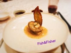 黑松露山药扣鲜鲍鱼鲍鱼-新光酒家·河豚·海鲜·蟹料理(浦东店)