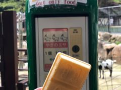 -神户市立六甲山牧场