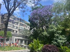 -云南省图书馆