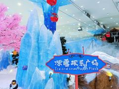 -湘江欢乐城欢乐雪域