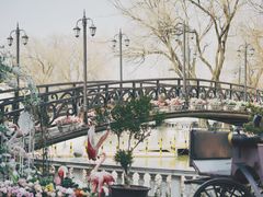 -J Create城市露营咖啡·简餐·宠物(上海动物园店)