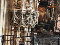 -斯蒂芬主教座堂(Stephansdom)