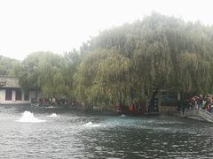 -百脉泉景区