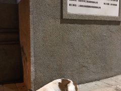 -武汉大学-樱园