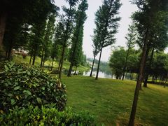 -眉山湿地公园(东坡区)