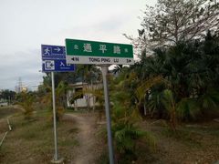 -金鸡岭桥头公园